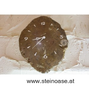 Uhr Fossilien Orthoceras & Ammoniten